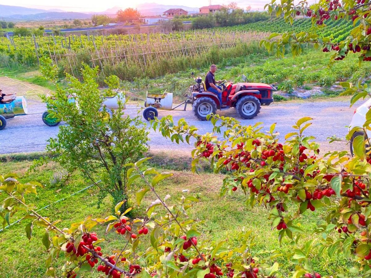 Mrizi I Zanave Agroturizem Hotel Lezhe Bagian luar foto