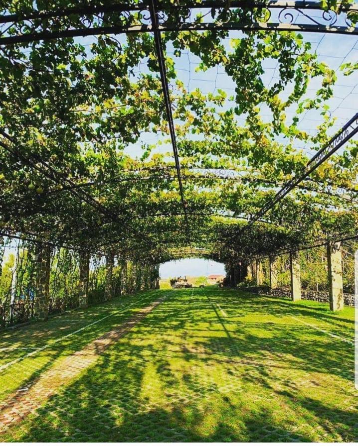 Mrizi I Zanave Agroturizem Hotel Lezhe Bagian luar foto